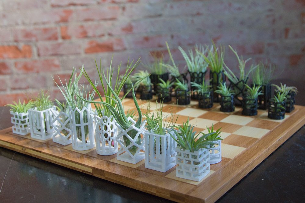 Unique Air Plant Living Chess Set