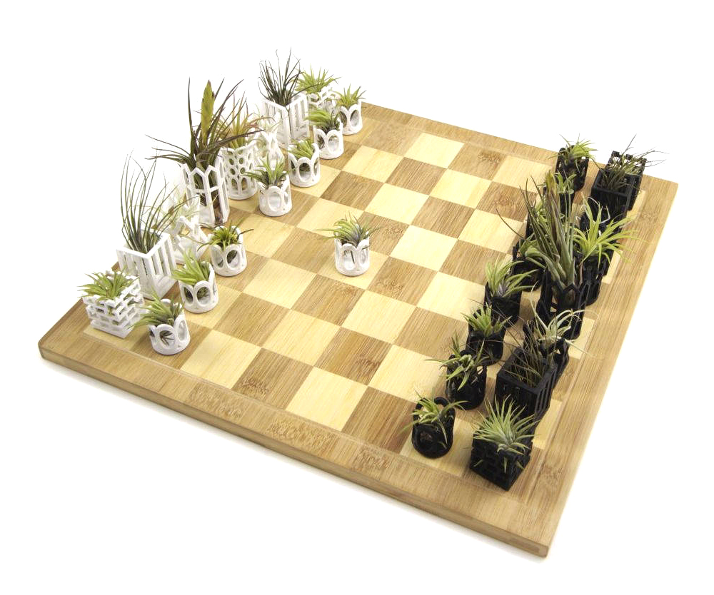 unique chess sets