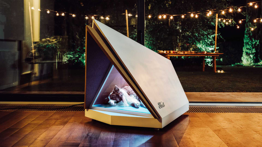 New Modern High-Tech Doghouse