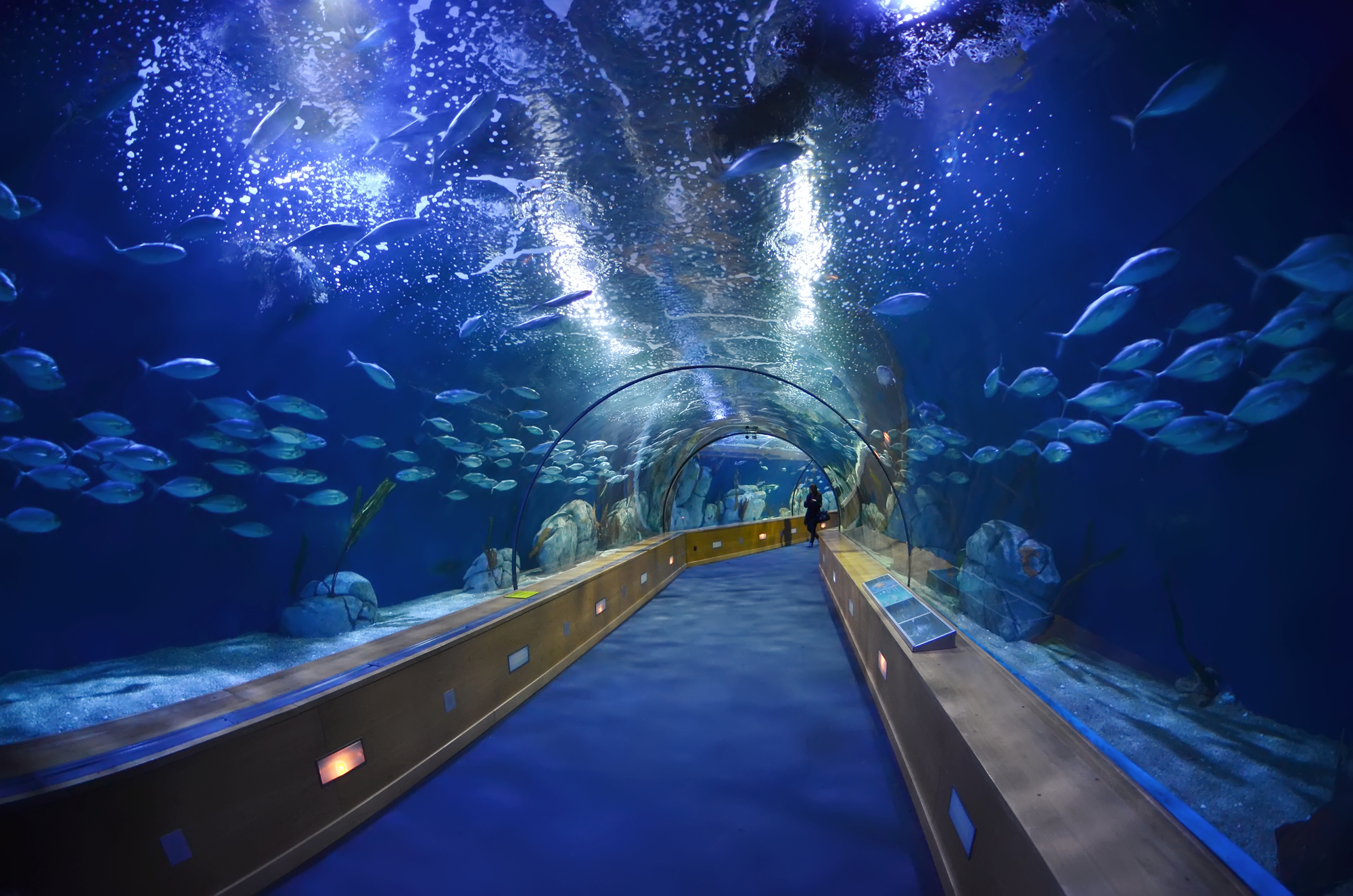 Big Aquarium In The World