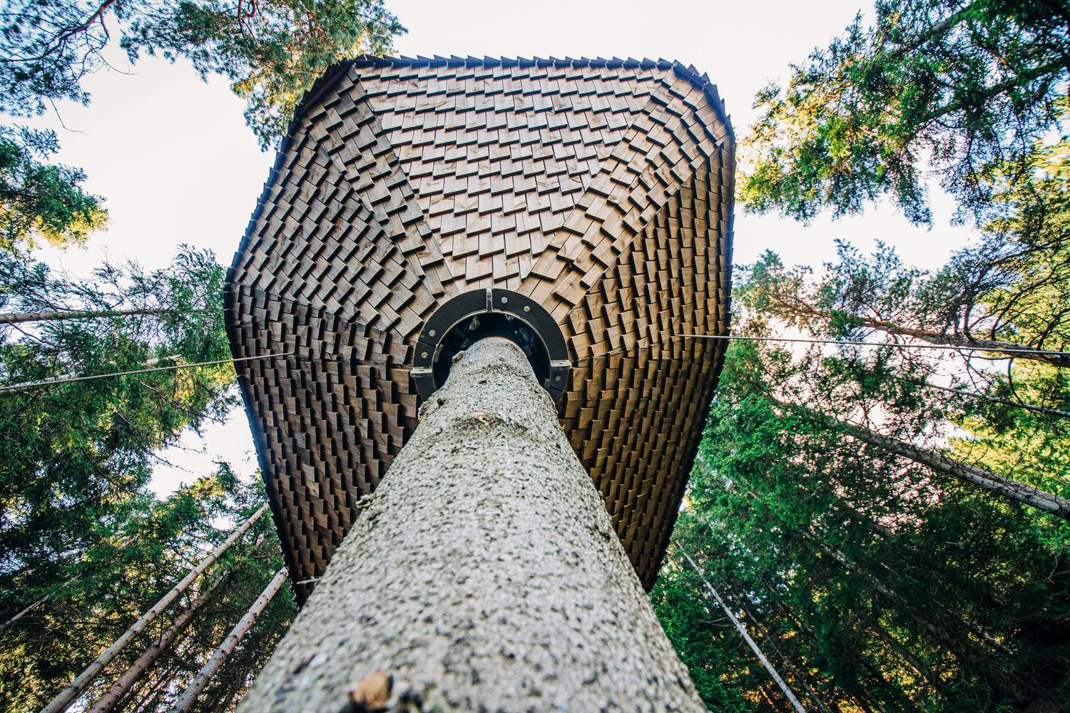 cone–shaped treehouse