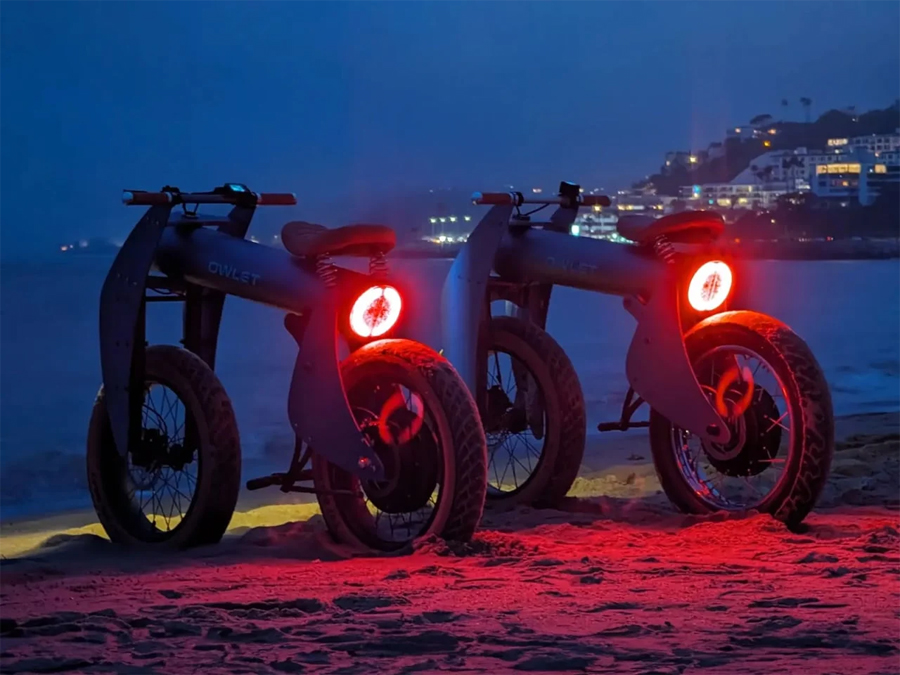 Unique Foldable, High-Torque E-Bike Owlet ONE