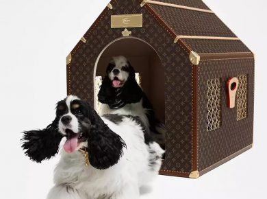 Pharrell Williams Designs Ultimate Luxury for Pets in LV's $65,000 Collection